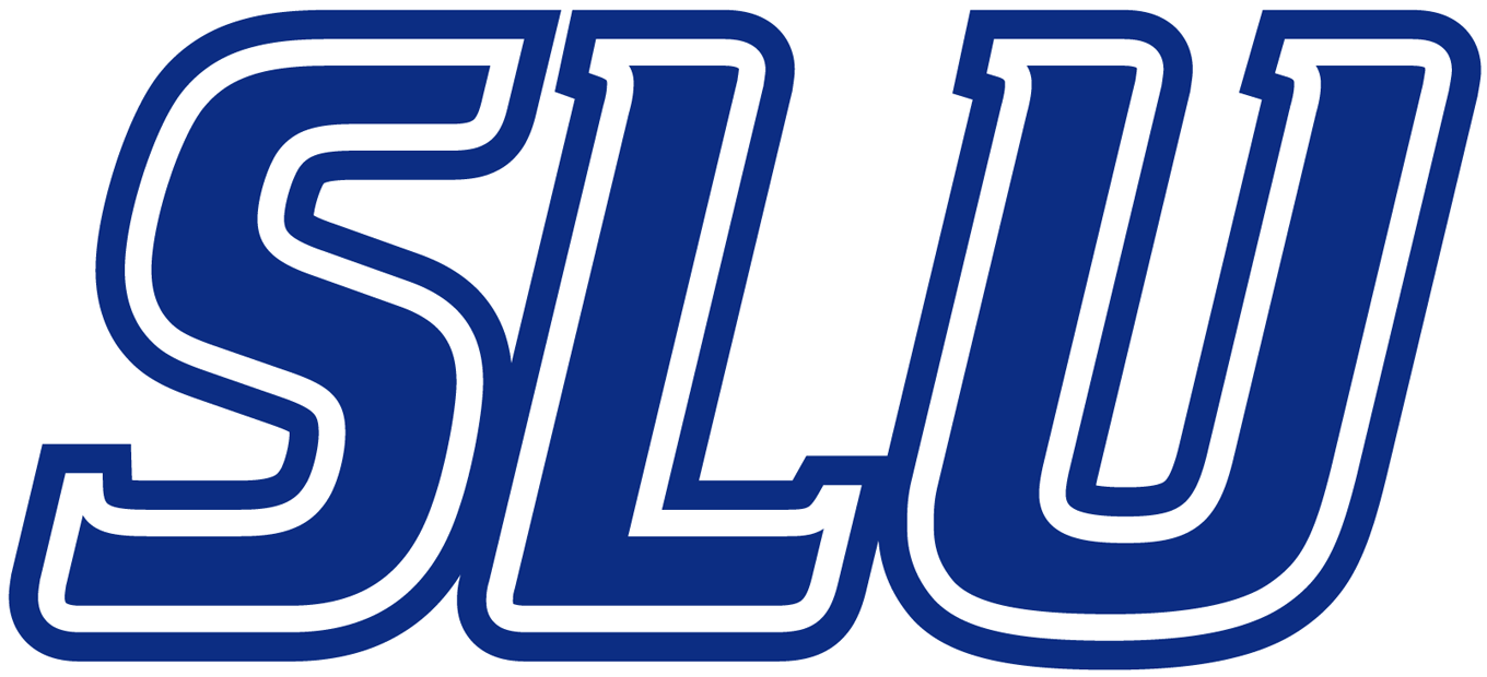 Saint Louis Billikens 2002-Pres Wordmark Logo v2 iron on transfers for T-shirts